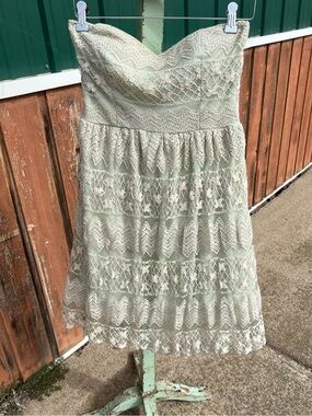 Mystic Strapless Lace Dress in Light Sage